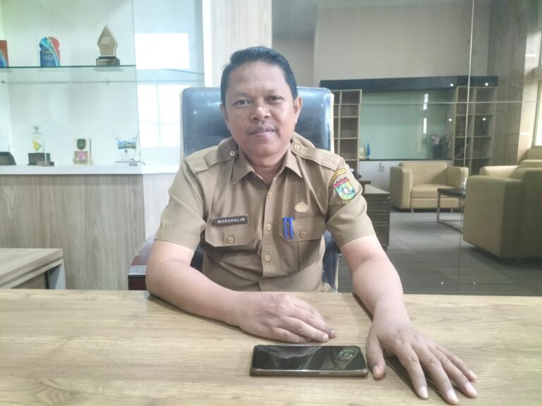 Program PSR di Kampar Berhasil Direalisasikan Oleh Disbunnak Keswan Kampar Tahun 2025