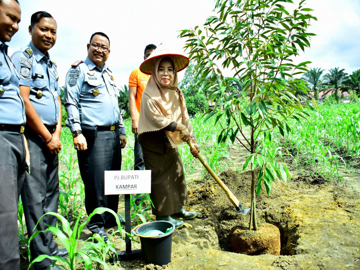 Resmikan Rumah Grya Abhipraya Bangkinang “Ancak Bonau, Pj Sekda Kampar Tanam 100 Batang Pohon Durian Musang King