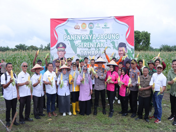 Kadis Pertanian Kampar Dampingi Wakapolres Kampar Pada Panen Raya Jagung Serentak di Tapung