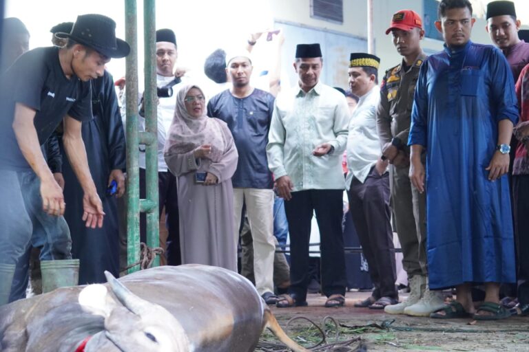 Bupati, Wabup, Keluarga Saksikan Pemotongan Hewan Kurban Presiden RI dan Pemda Kampar di Islamic Centre Bangkinang
