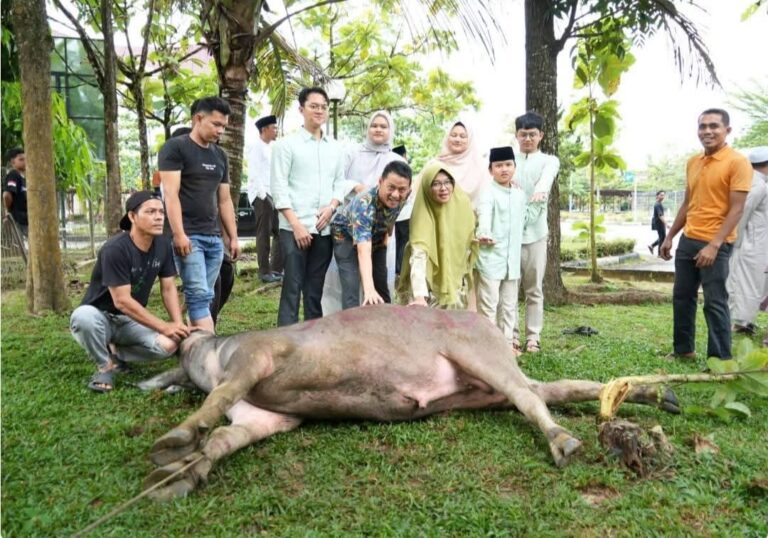 Ratusan THL dan Petugas Kebersihan di Setdakab Kampar Dapat Daging Kurban, Sekda : Ini Bentuk Kepedulian Pemda