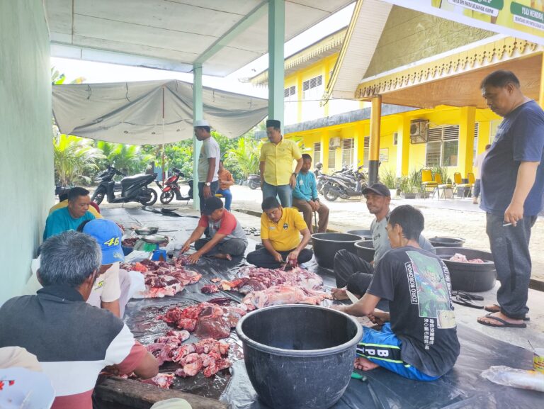 Momentum Hari Raya Idul Adha 1446 H, DPD Golkar Kampar Potong 1 Ekor Kerbau