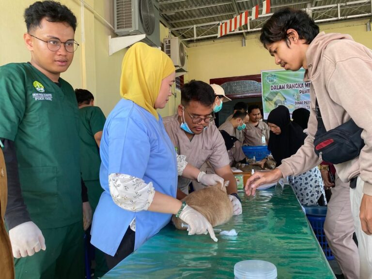Antisipasi Rabies, Disbunnak Keswan Kampar Lakukan Vaksinasi Hewan