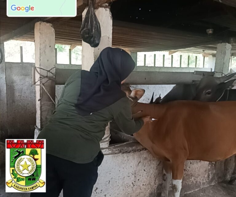 Disbunnak Keswan Kabupaten Kampar Miliki 57 Petugas Vaksin